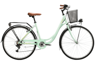 Bicicleta Familiar Verde